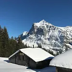 Sunneblick
