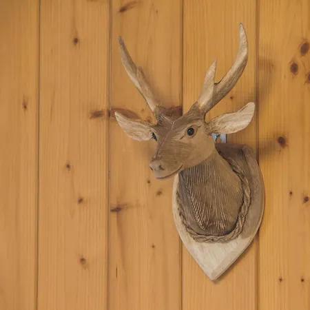 Sunneblick Гриндельвальд