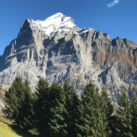 Апартаменты Sunneblick