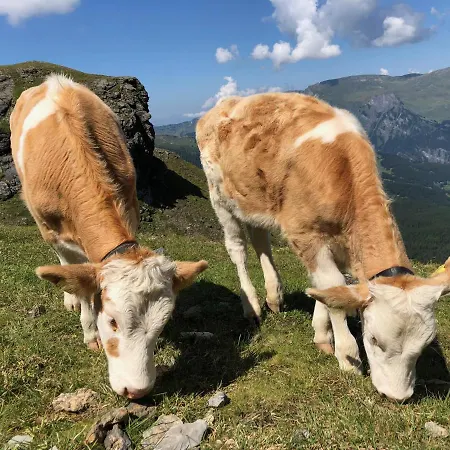 Апартаменты Sunneblick Гриндельвальд