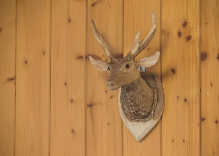 Sunneblick Grindelwald