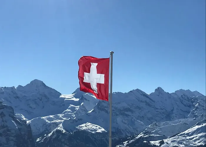 Sunneblick * جريندلوالد