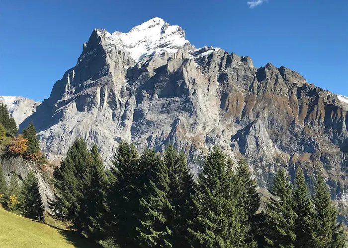 Appartement Sunneblick