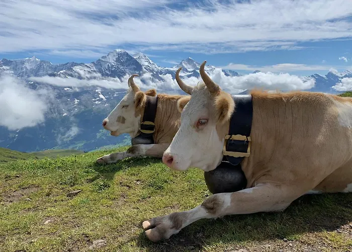 Appartement Sunneblick Grindelwald