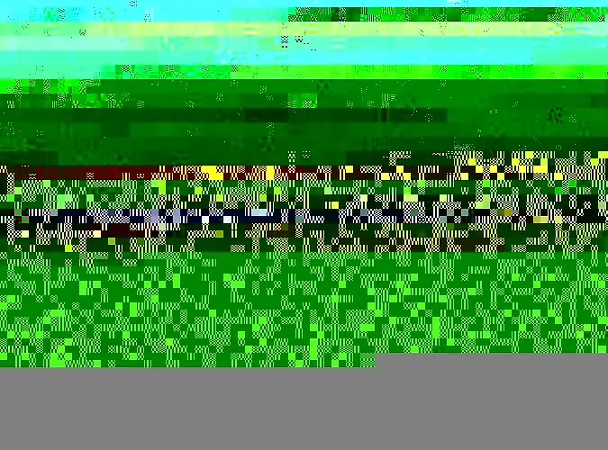 Appartement Sunneblick Grindelwald